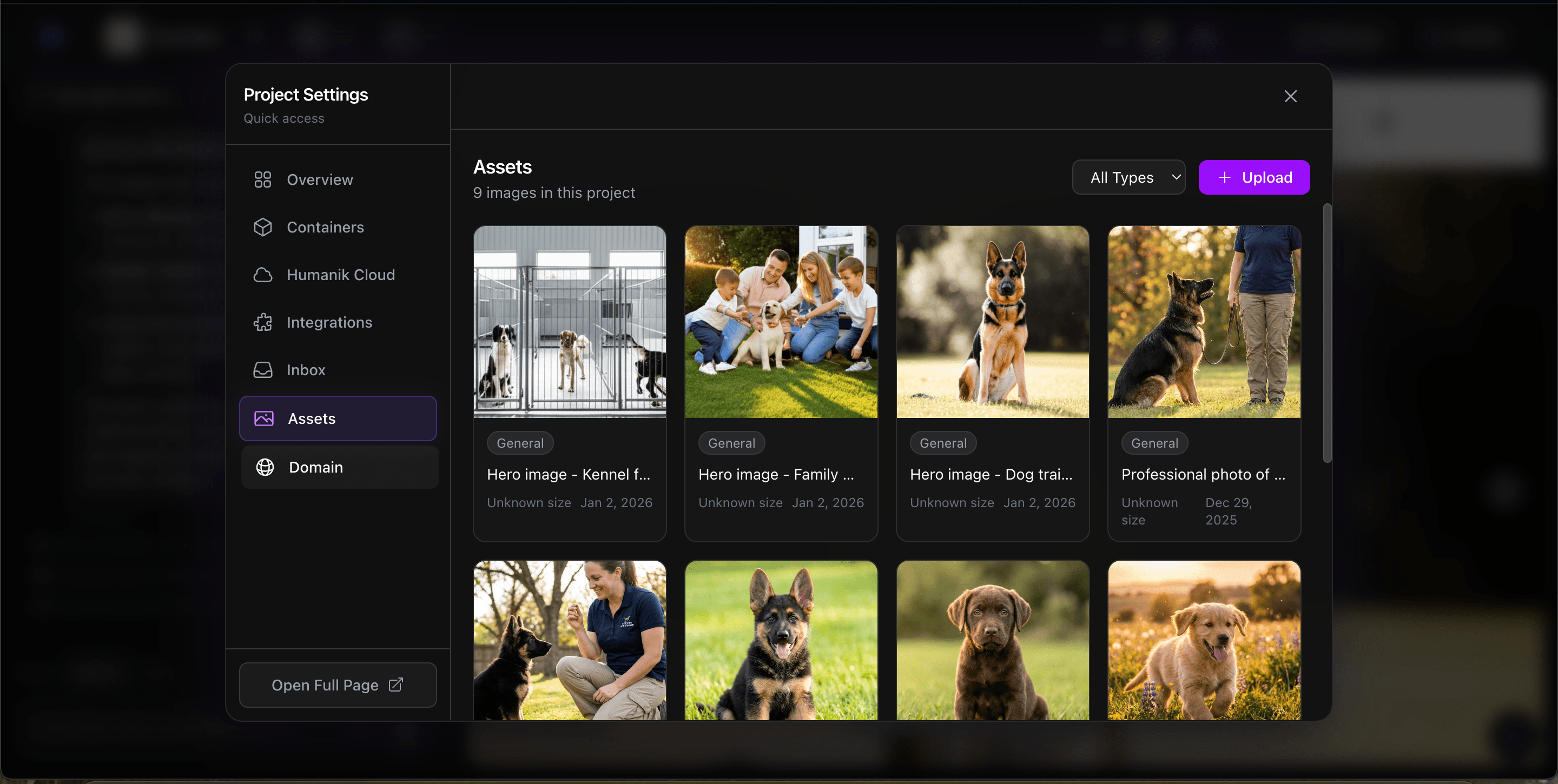 Asset manager showing uploaded project images in Zylo design mode
